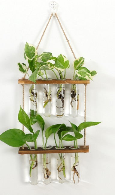 Hanging Terrarium