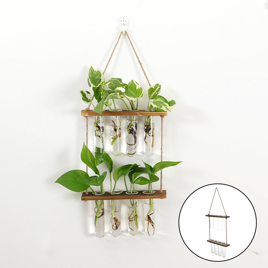 Hanging Terrarium