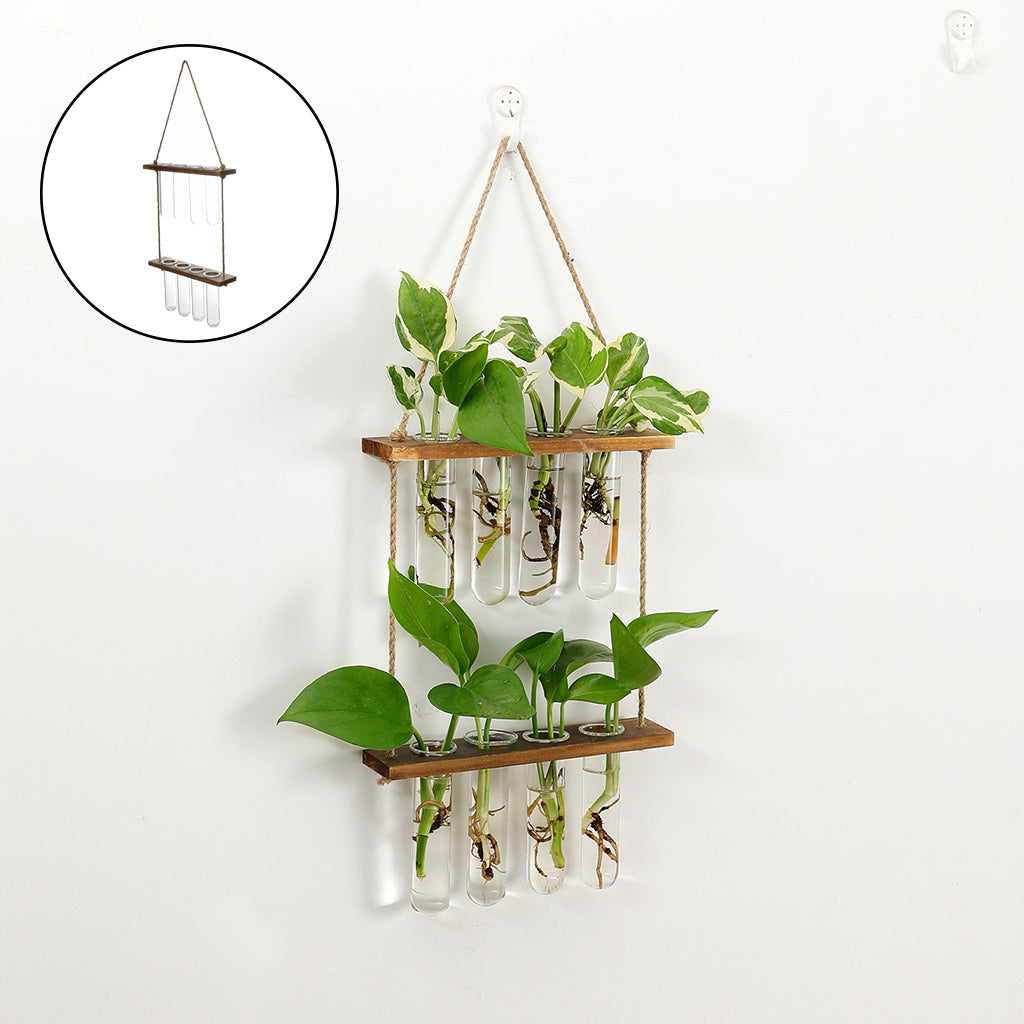 Hanging Terrarium