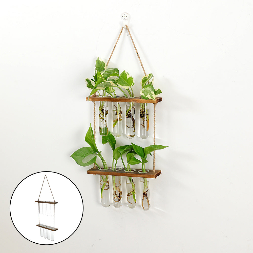 Hanging Terrarium