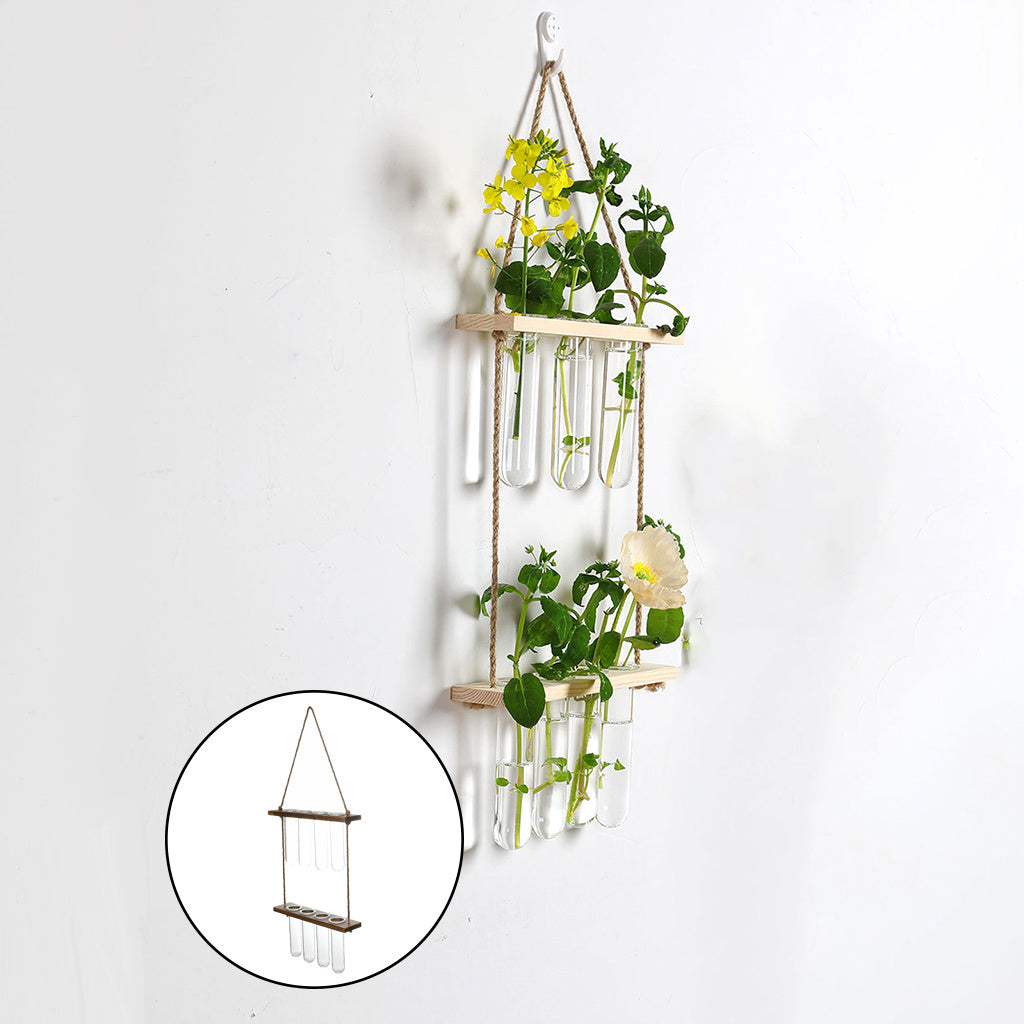 Hanging Terrarium