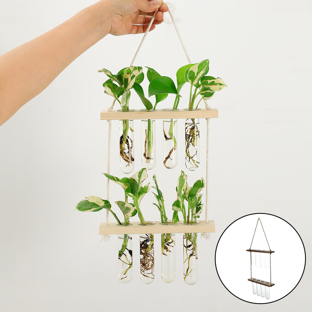 Hanging Terrarium